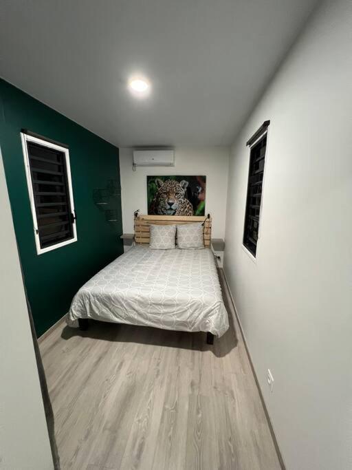 Residence Morphee - Chaleureux Avec Jacuzzi Remire-Montjoly المظهر الخارجي الصورة